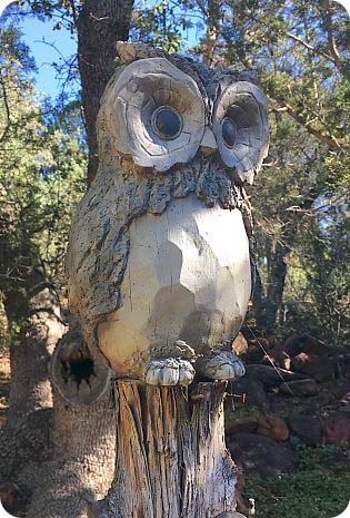 [OWL]